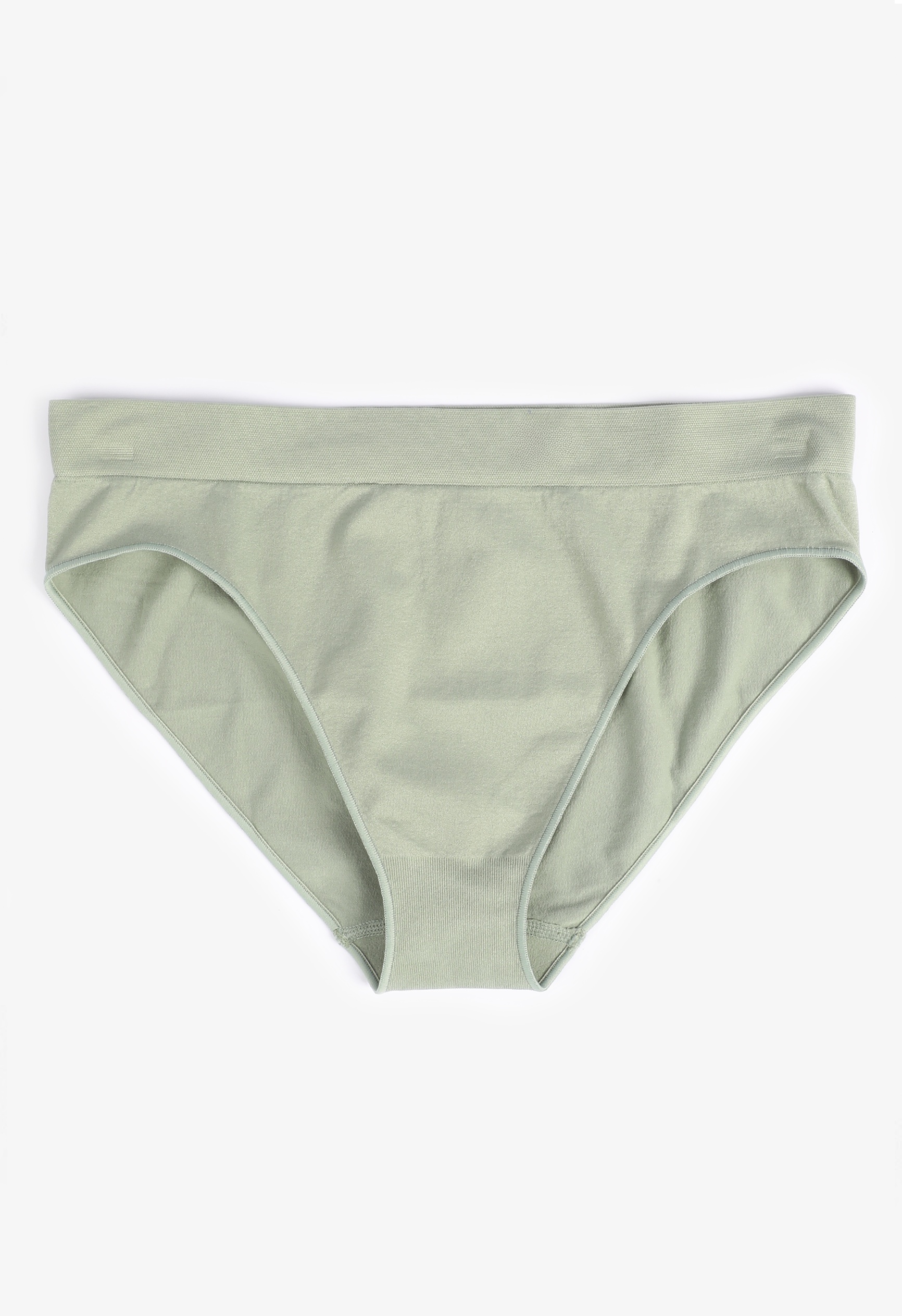 True Stretch Seamless Bikini Panty 13 True Stretch Seamless Bikini Panty