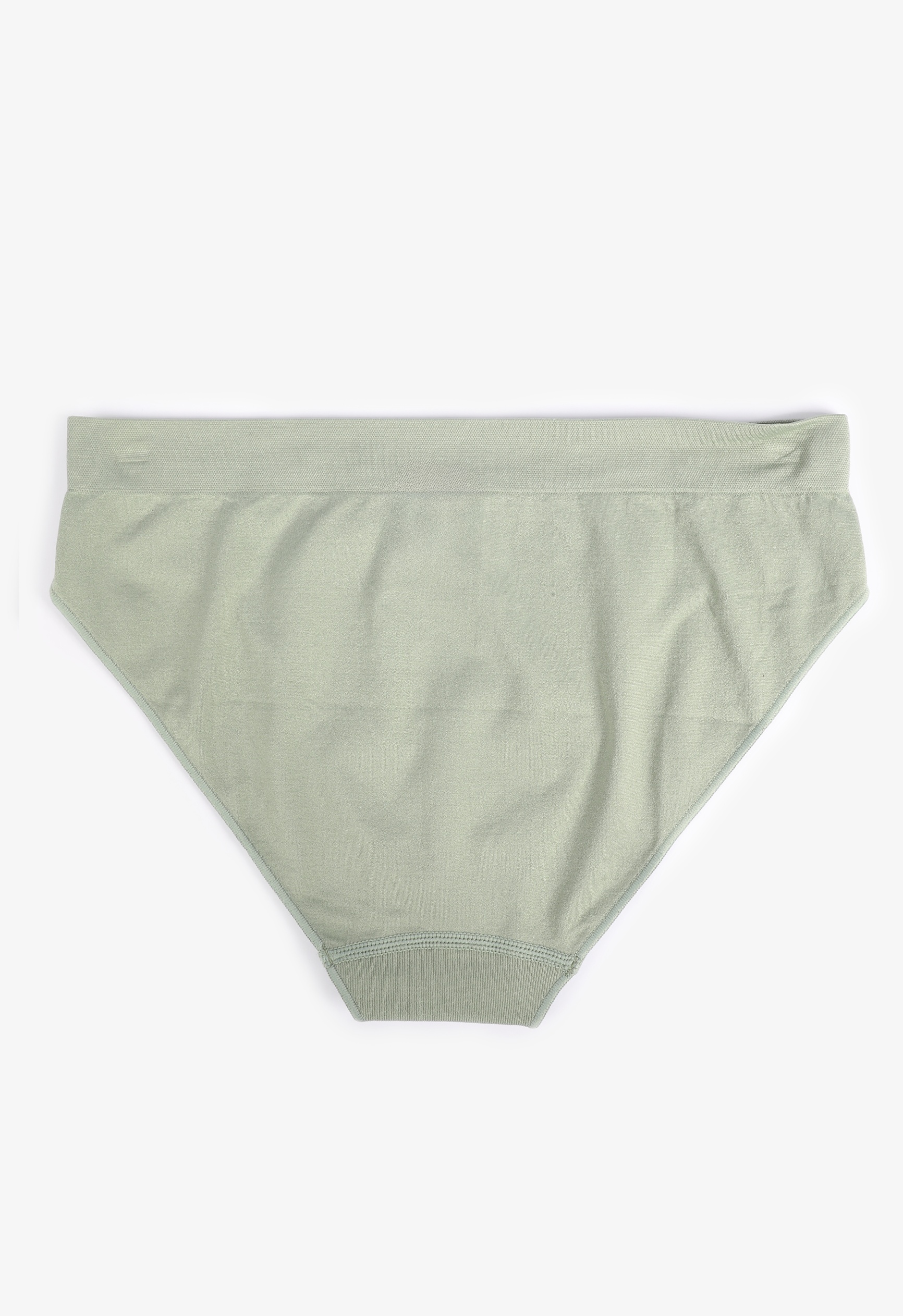 True Stretch Seamless Bikini Panty 14 True Stretch Seamless Bikini Panty